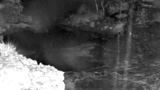 Still 1 from this detection