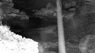 Still 1 from this detection