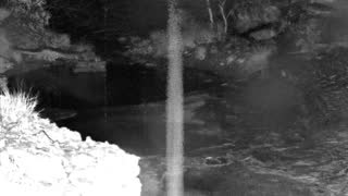 Still 1 from this detection