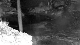 Still 1 from this detection