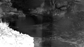 Still 1 from this detection