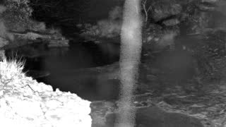 Still 1 from this detection