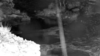 Still 1 from this detection