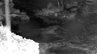 Still 1 from this detection