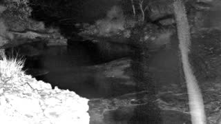 Still 1 from this detection