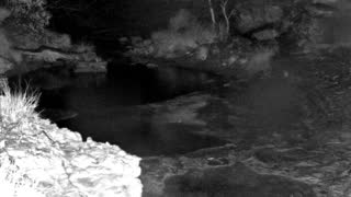 Still 1 from this detection