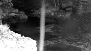 Still 1 from this detection