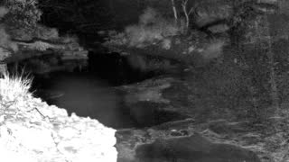Still 1 from this detection