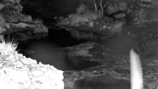 Still 1 from this detection