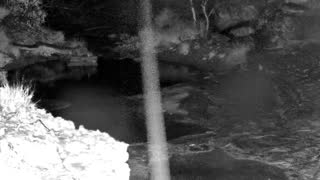 Still 1 from this detection