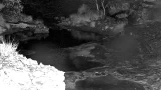 Still 1 from this detection