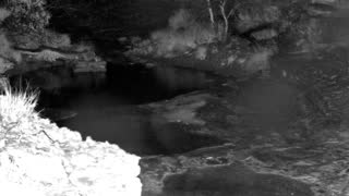 Still 1 from this detection