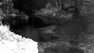 Still 1 from this detection