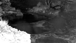 Still 1 from this detection