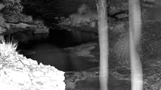 Still 1 from this detection
