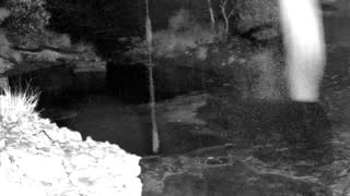 Still 1 from this detection