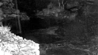 Still 1 from this detection