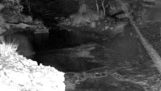 Still 1 from this detection