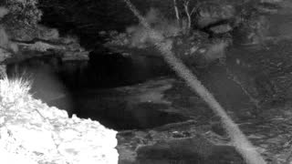 Still 1 from this detection