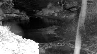 Still 1 from this detection