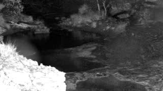 Still 1 from this detection