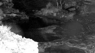 Still 1 from this detection