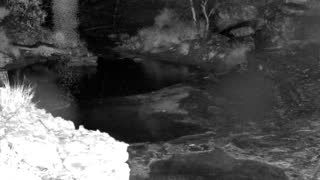 Still 1 from this detection