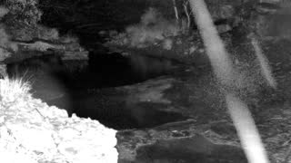 Still 1 from this detection