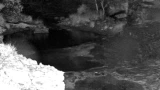 Still 1 from this detection