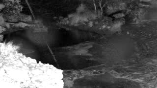 Still 1 from this detection