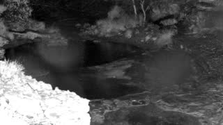 Still 1 from this detection