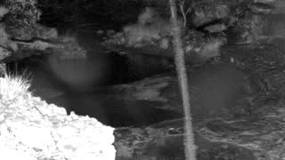 Still 1 from this detection