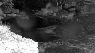 Still 1 from this detection