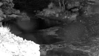 Still 1 from this detection