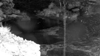 Still 1 from this detection