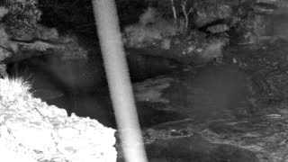 Still 1 from this detection