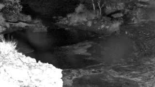 Still 1 from this detection