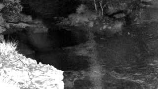 Still 1 from this detection