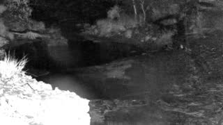Still 1 from this detection