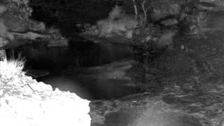 Still 1 from this detection