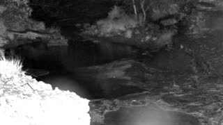 Still 1 from this detection