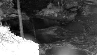 Still 1 from this detection