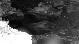 Still 1 from this detection