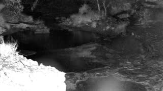 Still 1 from this detection