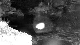 Still 1 from this detection