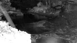 Still 1 from this detection