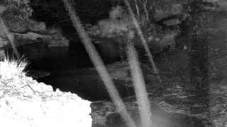 Still 1 from this detection