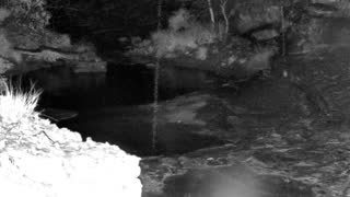 Still 1 from this detection