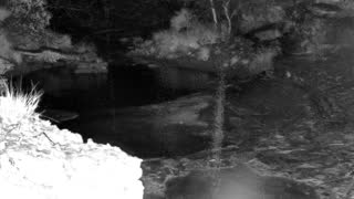 Still 1 from this detection