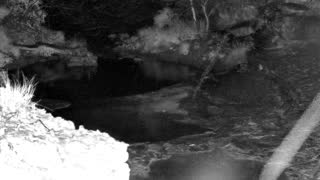 Still 1 from this detection